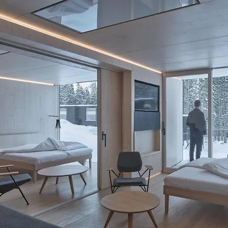 Bjoernson & Bjoernson Tree Jasna Demanovska Dolina