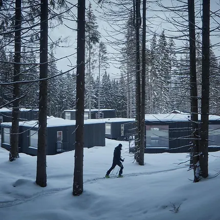 Hotel Bjoernson & Bjoernson Tree Jasna