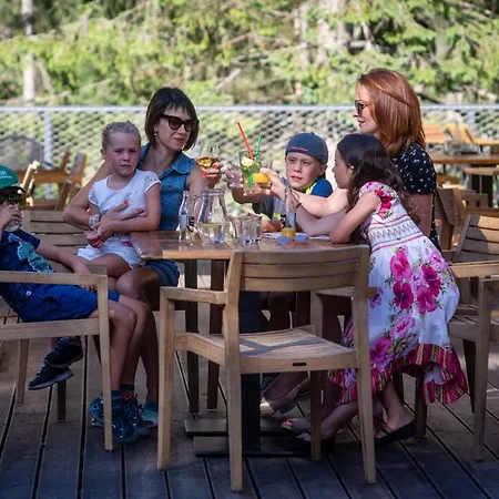 Bjoernson & Bjoernson Tree Jasna