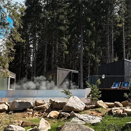 Bjoernson & Bjoernson Tree Jasna Demanovska Dolina