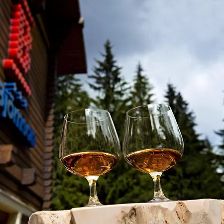 Hotel Bjoernson & Bjoernson Tree Jasna 3*