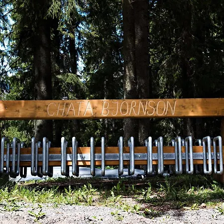 Hotel Bjoernson & Bjoernson Tree Jasna