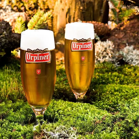 Bjoernson & Bjoernson Tree Jasna 3*